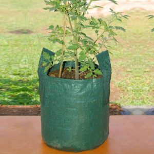 Planter Bag Plastik Poly Bag Tanaman